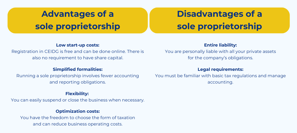 Advantages and disadvantages of sole proprietorship for a language school