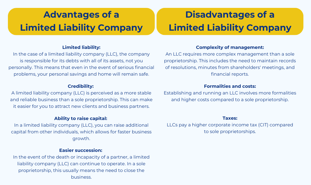 Advantages and disadvantages of limited liability company for a language school